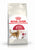 ROYAL CANIN FELINE HEALTH NUTRITION FIT 32 DRY FOOD - ThePetsClub