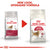 ROYAL CANIN FELINE HEALTH NUTRITION FIT 32 DRY FOOD - ThePetsClub