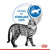 Royal Canin Feline Health Nutrition Indoor 7+ Cat Wet Food -12x85g - ThePetsClub