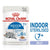 Royal Canin FELINE HEALTH NUTRITION INDOOR 7+ JELLY WET FOOD - ThePetsClub