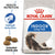 Royal Canin FELINE HEALTH NUTRITION INDOOR LONG HAIR 2 KG - ThePetsClub