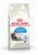 Royal Canin Feline Health Nutrition Indoor Long Hair - 2kg - ThePetsClub