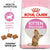 ROYAL CANIN FELINE HEALTH NUTRITION KITTEN STERILISED DRY FOOD - ThePetsClub