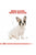 ROYAL CANIN FRENCH BULLDOG PUPPY DRY FOOD - ThePetsClub