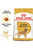 ROYAL CANIN GOLDEN RETRIEVER ADULT DRY FOOD - ThePetsClub