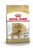 ROYAL CANIN GOLDEN RETRIEVER ADULT DRY FOOD - ThePetsClub