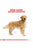 ROYAL CANIN GOLDEN RETRIEVER ADULT DRY FOOD - ThePetsClub