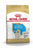 ROYAL CANIN GOLDEN RETRIEVER PUPY PUPY DRYYOD - ThePETClub