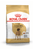 ROYAL CANIN طعام الكلاب المجفف للكلاب البالغين - ThePetsClub