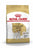 ROYAL CANIN JACK RUSSELL ADULT DRY DOG FOOD - ThePetsClub