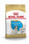 ROYAL CANIN JACK RUSSELL PUPPY DRY DOG FOOD - ThePetsClub