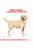 ROYAL CANIN LABRADOR ADULT DRY FOOD - ThePetsClub