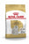 ROYAL CANIN MALTESE ADULT DRY FOOD - ThePetsClub