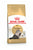 ROYAL CANIN PERSIAN ADULT DRY FOOD - ThePetsClub