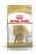 ROYAL CANIN POODLE ADULT DRY FOOD - ThePetsClub