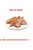 ROYAL CANIN POODLE ADULT WET FOOD - ThePetsClub