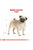 ROYAL CANIN PUG ADULT DRY FOOD - ThePetsClub