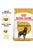 ROYAL CANIN ROTTWEILER ADULT DRY DOG FOOD - ThePetsClub