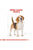 Royal Canin Breed Health Nutrition Beagle Adult Dry Dog Food - 3kg - The Pets Club