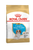 Royal Canin Breed Health Nutrition Cavalier King Charles Puppy Dry Dog Food - 1.5kg - The Pets Club