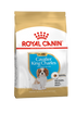 Royal Canin Breed Health Nutrition Cavalier King Charles Puppy Dry Dog Food - 1.5kg