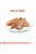 Royal Canin Breed Health Nutrition Chihuahua Adult Wet Dog Food - The Pets Club