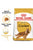 Royal Canin Breed Health Nutrition Cocker Adult Dry Dog Food - 3kg - The Pets Club