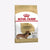 Royal Canin Breed Health Nutrition Dachshund Adult Dry Dog Food - 1.5kg - The Pets Club