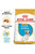Royal Canin Breed Health Nutrition French Bulldog Dry Puppy Food - 3kg - The Pets Club