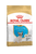 Royal Canin Breed Health Nutrition French Bulldog Dry Puppy Food - 3kg - The Pets Club