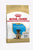 Royal Canin Breed Health Nutrition German Shepherd Dry Puppy Food - The Pets Club
