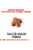 Royal Canin Breed Health Nutrition Jack Russell Adult Dry Dog Food - 1.5kg - The Pets Club