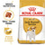Royal Canin Breed Health Nutrition Jack Russell Adult Dry Dog Food - 1.5kg - The Pets Club