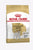 Royal Canin Breed Health Nutrition Jack Russell Adult Dry Dog Food - 1.5kg - The Pets Club