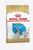 Royal Canin Breed Health Nutrition Jack Russell Dry Puppy Food - 1.5kg - The Pets Club