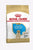 Royal Canin Breed Health Nutrition Labrador Dry Puppy Food - The Pets Club