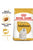 Royal Canin Breed Health Nutrition Maltese Adult Dry Dog Food - 1.5kg - The Pets Club