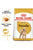 Royal Canin Breed Health Nutrition Poodle Adult Dry Dog Food - The Pets Club