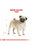 Royal Canin Breed Health Nutrition Pug Adult Dry Dog Food (Near Expiry) - The Pets Club