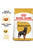 Royal Canin Breed Health Nutrition Rottweiler Adult Dry Dog Food - 12kg - The Pets Club