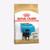 Royal Canin Breed Health Nutrition Rottweiller Puppy Dry Dog Food - 12kg - The Pets Club