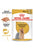 Royal Canin Breed Health Nutrition Yorkshire Adult Wet Dog Food - 85g - The Pets Club