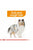 Royal Canin Canine Care Nutrition Coat Beauty Wet Dog Food - The Pets Club