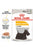 Royal Canin Canine Care Nutrition Dermacomfort Wet Dog Food - 85g - The Pets Club