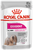 Royal Canin Canine Care Nutrition Exigent Wet Dog Food - 85g - The Pets Club