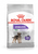 Royal Canin Canine Care Nutrition Mini Sterilized Adult Dry Dog Food - The Pets Club