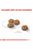 Royal Canin Canine Care Nutrition Mini Sterilized Adult Dry Dog Food - The Pets Club