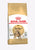 Royal Canin Feline Breed Nutrition Bengal Adult Dry Cat Food - 2kg - The Pets Club