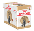 Royal Canin Feline Breed Nutrition British Shorthair Wet Cat Food - 12x85g
