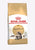 Royal Canin Feline Breed Nutrition Maine Coon Dry Adult Cat Food - 2kg - The Pets Club